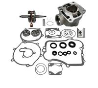 FLFHDUP Kit di Riparazione e Riparazione di guarnizioni di Albero Motore, Cilindro e Parti del Motore per Moto, Accessorio da 85 CC, Adatto per Yamaha YZ85.(Complete Set)