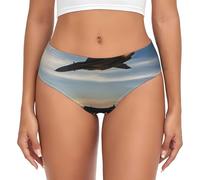 FLGHJNBJN Aircraft Fighter Jets intimo femminile hipster slip lavabile non restringente adatto per le donne da indossare tutti i giorni, dalla XS alla 4XL, Nero , XXL