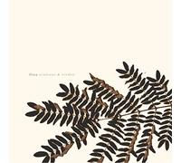 Flica - Windvane & Window