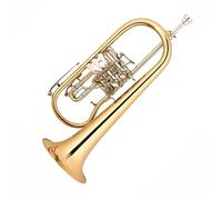 Flicorno A Pistone Rotante Tromba Strumento A Fiato Tromba In Sib Strumento Suono Standard