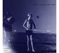Flies Inside Sun - An Audience of Others