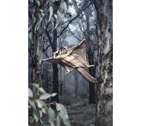 Flight of the Sugar Glider Joey Aboard Journal: a DOT GRID notebook for self-expression