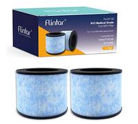 Flintar F100 H13 True HEPA Filtro di ricambio, compatibile con purificatore d'aria Instant AP100, 3 in 1 H13 Grade True HEPA Filter, parte # F100, confezione da 2
