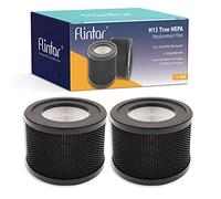 Flintar Filtro di ricambio TT-AP001, compatibile con purificatore d'aria TaoTronics TT-AP001 e purificatore d'aria VAVA VA-EE014, filtrazione di grado H13 3 in 1 e set di filtri a carbone attivo