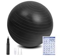 flintronic 55cm Palla Fitness, Anti-Scoppio e Stabilità, con Pompa, Strumento Tappo Pompa, E Manuale per Ginnastica, Yoga, Esercizi di Equilibrio, Allenamento, Fitness