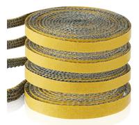 Flintronic Guarnizione Stufa a Legna, 1 rotoli (3mm*10mm*2m）