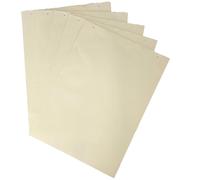 Flip Chart Pads A1 40 Leaves Blank Pack of 5