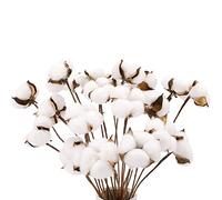 Flisdtry 20 steli di cotone, fiori di cotone, steli in cotone artificiale, decorazioni per vasi e decorazioni per la casa