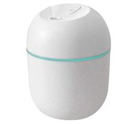 Flisdtry Umidificatore USB, Piccolo, 220 ml, Mini diffusore Portatile per Camera da Letto, Ufficio, scrivania, Auto, atomizzatore da Viaggio,