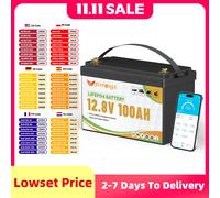 FLLYROWER 12V 100Ah LiFePO4 Batteria al litio BMS100A per inverter solare fuoristrada Off-grid Energia solare 8000+ Cicli Batteria