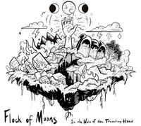 Flock of Moons - In The Wake Of The Trembling Hand