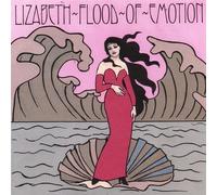 Flood of Emotion by Lizabeth Flood (2002-12-17)