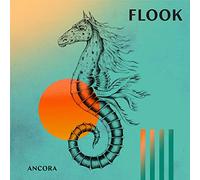 Flook - Ancora