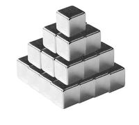 Floordirekt Magneti Forti, 12 Pezzi, al neodimio, Extra Forti, per lavagnetta Magnetica, Lavagna Bianca, Lavagna in Vetro, Mini magneti per Frigorifero, Presa Forte, 10 x 10 x 10 mm, Colore: Argento