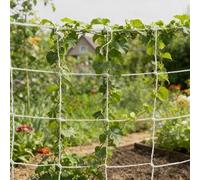 Flora - Rete da arrampicata in poliestere, rete da giardino, con rete quadrata, supporto per flora, per rampicanti, fiori, verdure, frutta, fiori, 1,5 x 18,3 m