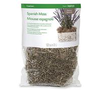 FloraCraft Spanish Moss 4oz-Natural