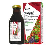 Floradix 250 ml