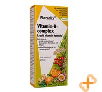 Floradix Complesso Vitamine B 250ml Bevanda Integratore Stanchezza Riduzione