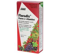 FLORADIX-INTEG FERRO 500ML