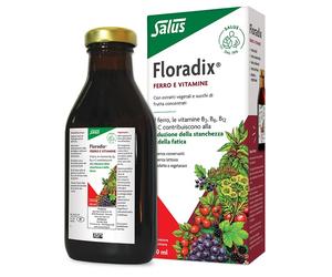 FLORADIX-INTEG FERRO 250ML