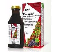 floradix integr.ferro 500ml