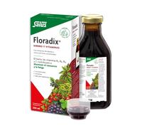 Floradix Integratore Alimentare Con Ferro E Vitamine, Stanchezza E Fatica 250ml