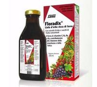 FLORADIX-INTEG FERRO 500ML
