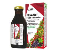 FLORADIX-INTEG FERRO 500ML