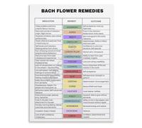 Floral Remedy Poster Botanical Essence Guide Decor