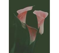 Floral Writing Notebook: Woman’s journal for work or school