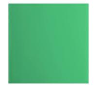 Florence Cardstock-20 fogli quadrati, 216 g/m², 30,5 x 30,5 cm, colore verde, per scrapbooking, creazione di biglietti, punzonatura e altri lavori, carta, 30.5 x 30.5 cm