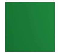 Florence Cardstock-20 fogli quadrati, 216 g/m², 30,5 x 30,5 cm, colore verde, per scrapbooking, creazione di biglietti, punzonatura e altri lavori, carta, 30.5 x 30.5 cm