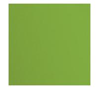 Florence Cardstock-20 Fogli Quadrati, 216 g/m², 30,5 x 30,5 cm, per Scrapbooking, creazione di Biglietti, punzonatura e Altri lavori, Carta, Verde, 30.5x30.5cm