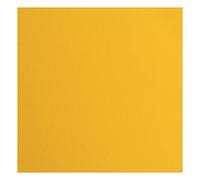 vaessen creative Florence Cardstock-20 fogli quadrati, 30,5 x 30,5 cm, colore giallo, 216 g/m², per scrapbooking, creazione di biglietti, punzonatura e altri lavori, carta, 30.5x30.5cm