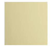 Florence Cardstock Carta, 216 g/m², Quadrata, 30,5 x 30,5 cm, 20 Pezzi, Liscia, per Scrapbooking, creazione di Biglietti, fustellatura e Altri lavori di bricolage, Beige, 30.5 x 30.5 cm