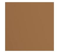 vaessen creative Florence Cardstock Carta, 216 g/m², Quadrata, 30,5 x 30,5 cm, 20 Pezzi, per Scrapbooking, creazione di Biglietti, fustellatura e Altri lavori di bricolage, Marrone, 30.5x30.5cm