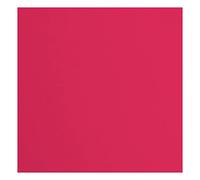 Florence Cardstock, Carta Rossa, 216 Grammi/m², 30,5 x 30,5 cm, 20 Pezzi, Trama per Scrapbooking, creazione di Biglietti, fustellatura e Altri lavori di bricolage, Rot, 30.5x30.5cm