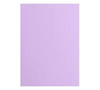 Florence Cartoncini, 216 g/m², Formato, 10 Pezzi, Liscia, per Scrapbooking, Biglietti, fustellatura e Altri lavori di Carta, Hyacinth, A4 DIN