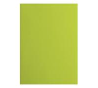 Florence Cartoncini, 216 g/m², Formato, 10 Pezzi, Liscia, per Scrapbooking, Biglietti, fustellatura e Altri lavori di Carta, Lime, A4 DIN