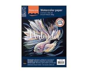 Florence Vaessen Creative, 300 g/m², Confezione da 100 Pezzi, Formato, Pittura ad Acquerello, Scrittura a Mano, Lettering e Altri lavori di Carta, Nero, A4 DIN, unità