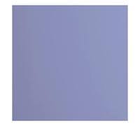 Florence Vaessen Creative Cardstock 216 Grammi/m², Quadrata, 30,5 x 30,5 cm, Liscia, per Scrapbooking, creazione di Biglietti, punzonatura e Altri lavori di Carta, Grigio, 30.5 x 30.5 cm