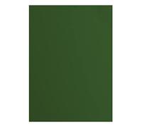 Florence Vaessen Creative Cartoncino Testurizzato, Colore Verde Pino, 216 Grammi, Formato A4, 10 Fogli, per Scrapbooking, creazione di Biglietti, fustellatura e Altri lavori con la Carta