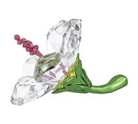 FLORERE IBISCO SW5690534 One Size