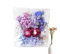 Flores Secas para Manualidades,Flores Secas - Kit De Hojas De Flores Naturales De Bricolaje | Flores Secas Elegante Y Vibrantes para Marcos De Foto, Moldes De Resina, Velas De Bricolaje Y Más