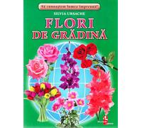 Flori de gradina - Cartonase - Silvia Ursache