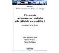 Florian Fizaine L'économie des ressources minérales et le déf (Copertina rigida)