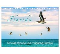 Florida - Sonnige Strände und magische Sümpfe (Tischkalender 2026 DIN A5 quer), CALVENDO Monatskalender: Traumhafte Landschaften und wilde Tiere im Sunshine State der USA