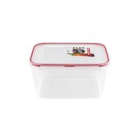 Florina Contenitori Ermetici per Alimenti (2,4 l) I Contenitori per Alimenti in Plastica FRESH BOX I Con Coperchio I Contenitori Pasta Rettangolare I Adatta per Microonde e Lavastoviglie