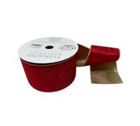 FloristryWarehouse Nastro in velluto con bordo dorato e retro 100 mm x 20 m, rosso