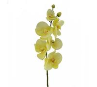 FloristryWarehouse Orchidea artificiale con stelo in lattice 75 cm, colore: crema/giallo limone